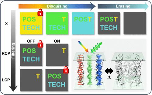Advanced Optical Encryption Using Tunable Color and Polarization Separation in In-Situ Polymerized Chiral Liquid Crystals