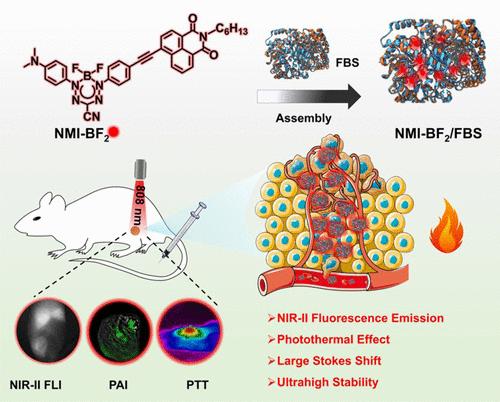 Naphthalimide Nanoprobe with Enhanced Electron-Withdrawing Ability and Large Stokes Shift for NIR-II Fluorescence Imaging-Guided Phototheranostics