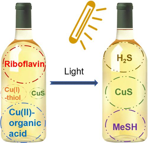 Impact of Cu Fractions on the Light-Induced Spoilage Aromas of Chardonnay Wine at Variable Riboflavin Concentrations