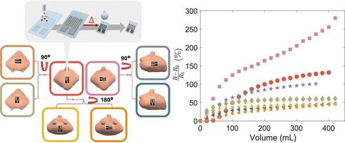 Stretchable Strain Sensors for Real-Time Bladder Volume Monitoring