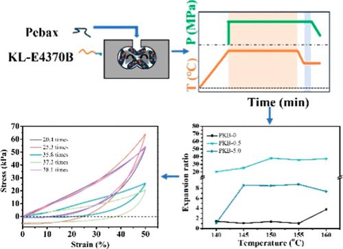 Preparation of Pebax Foam Based on Chain Extension via Supercritical CO2-Assisted Two-Step Foaming