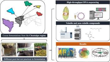 Contribution of post-harvest processing in cocoa bean: Chemometric and metagenomic analysis in fermentation step