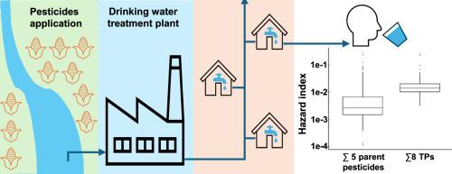 Temporal trends of 46 pesticides and 8 transformation products in surface and drinking water in Québec, Canada (2021–2023): Potential higher health risks of transformation products than parent pesticides
