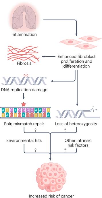 Genome-wide mutagenesis reported in systemic sclerosis