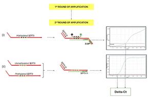 Sensitive detection of circulating methylated SEPT9 in hepatocellular carcinoma patients using a novel quantitative PCR assay†
