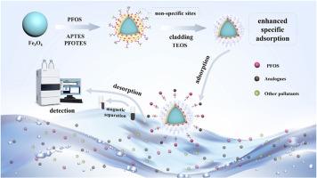 Fabrication of tailored imprinted layer and cladded layer on magnetic nanomaterials with enhanced specificity for recognition of PFOS
