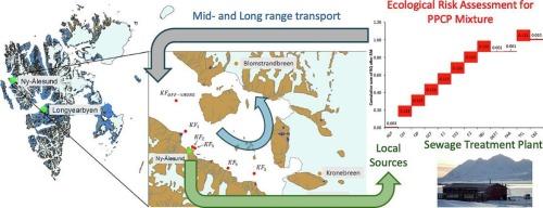 Man-made emerging contaminants in the High-Arctic fjord Kongsfjorden (Svalbard Archipelago, Norway): Occurrence, sources and risk assessment