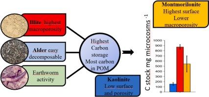 The effect of clay minerals, litter quality, and earthworms on soil organic matter storage; clay macro-porosity is more important than surface area