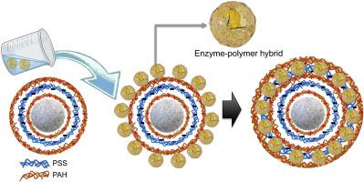Compartmentalization of multilayer microreactors using protein-polymer hybrids