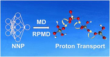 Proton transport in liquid phosphoric acid: the role of nuclear quantum effects revealed by neural network potential†