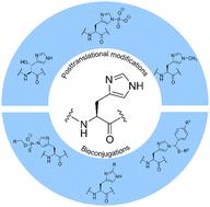 Chemical tools for probing histidine modifications