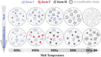 Investigation on the polymorph selection during recrystallization of isotactic Polybutene-1 homopolymer