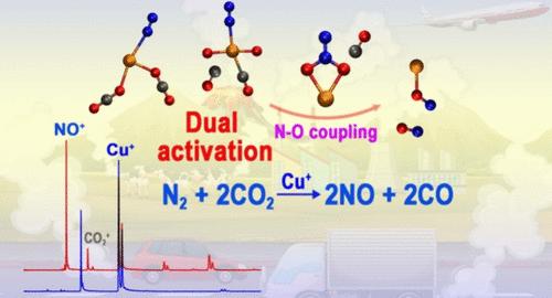 Dual Activation of N2 and CO2 toward N–O Coupling by Single Copper Ions
