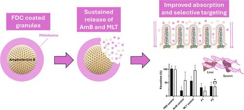 Targeted Oral Fixed-Dose Combination of Amphotericin B-Miltefosine for Visceral Leishmaniasis