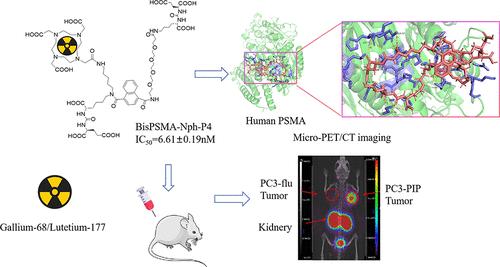 Development and Evaluation of Novel 68Ga/177Lu-Labeled PSMA Inhibitors with Enhanced Pharmacokinetics and Tumor Imaging for Prostate Cancer