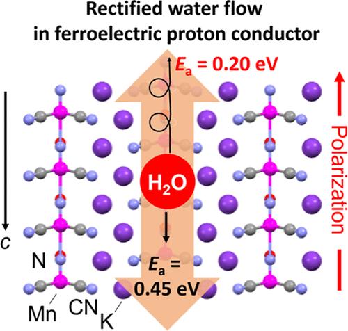 Rectified Water Migration Behavior in the Noncentrosymmetric Channels of a Ferroelectric Proton Conductor