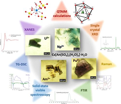Structural Regularities, Thermal Stability, and Nature of Chemical Bonding in the Series of Actinide Double Sulfates Cs[An(SO4)2(H2O)3]·H2O (An = U, Np, Pu, or Am)