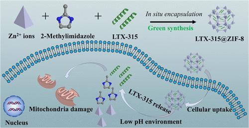 Efficient Delivery of Oncolytic Peptide LTX-315 by ZIF-8: pH-Responsive Release, Improved Stability, and Reduced Hemolysis