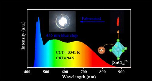 Embedding Te(IV) into a Robust Sn(IV)-Based Metal Halide for Deep-Red Emission