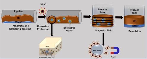 Innovative use of eco-friendly stearate-modified iron oxide nanoparticles in stabilization of water in oil emulsion for corrosion protection of mild steel in corrosive low water cut -crude oil systems