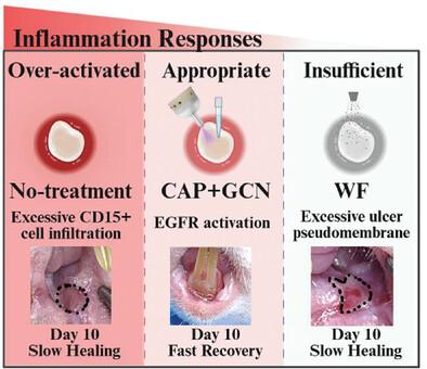 Next-Generation Oral Ulcer Management: Integrating Cold Atmospheric Plasma (CAP) with Nanogel-Based Pharmaceuticals for Inflammation Regulation