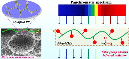 Multiscale Porous Heat Insulation Polypropylene Foam with High Infrared Absorption Performance
