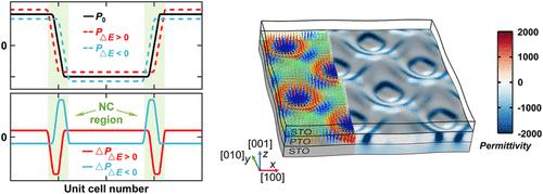 Continuously Tuning Negative Capacitance via Field-Driven Polar Skyrmions in Ferroelectric Trilayer Wrinkled Films