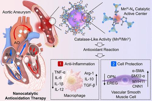 Antioxidative Aortic Aneurysm Therapy by a Mn–N4 Biomimetic Site-Engineered Nanocatalyst