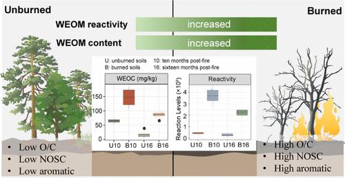 Enhanced Release and Reactivity of Soil Water-Extractable Organic Matter Following Wildfire in a Subtropical Forest