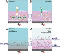 Probing a conducting polymer by proton-coupled electron transfer of biosimilar redox molecules†