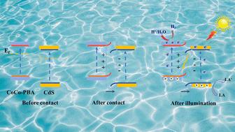 Efficient construction of S-scheme heterojunctions for photocatalytic hydrogen production