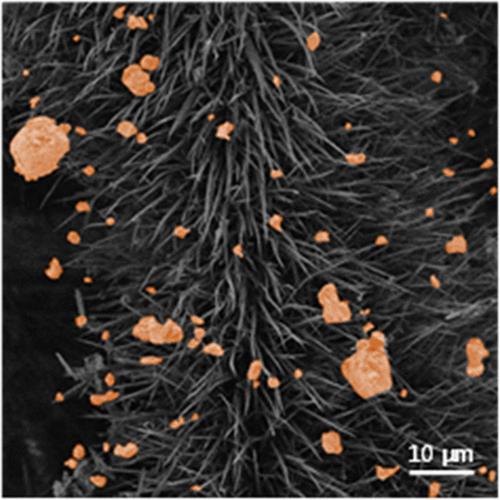 Mesostructured Polymer and Glass Microfiber Nonwovens with Supramolecular 1,3,5-Benzenetrisamide Nanofibers for Air Filtration