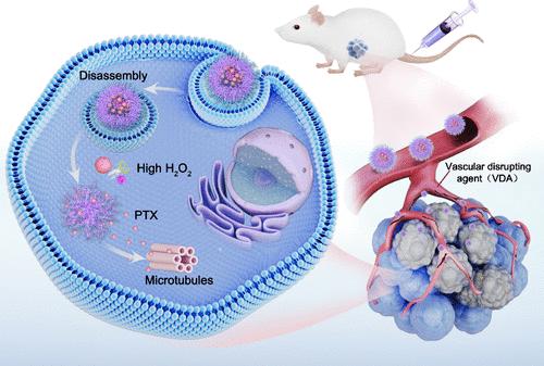 Polymeric Nanoparticles Simultaneously Delivering Paclitaxel Prodrug and Combretastatin A4 with Exceptionally High Drug Loading for Cancer Combination Therapy