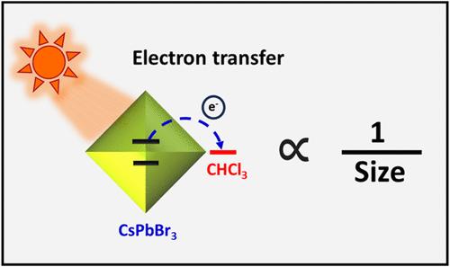 Influence of Exciton Diffusivity and Nanocrystal Size on Carrier Dynamics in CsPbBr3 Perovskites