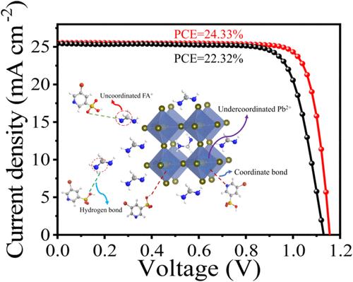 Targeted Anchoring of All Cations with 5-Bromopyridine-3-sulfonic Acid for High-Performance Perovskite Solar Cells