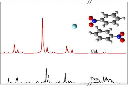 Mass-Selected Infrared Photodissociation Spectroscopic and Theoretical Insights into Nitrobenzene Dimer Anion Tagged by Argon