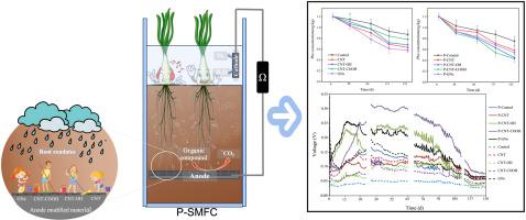 Enhancing the efficiency of P-SMFCs in degrading phenanthrene by modifying the anode with carbon nanomaterials