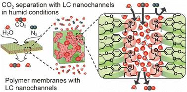 Liquid-crystalline nanostructured membranes for CO2 separation†