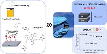 Compositional and interfacial engineering for improved light stability of flexible wide-bandgap perovskite solar cells†