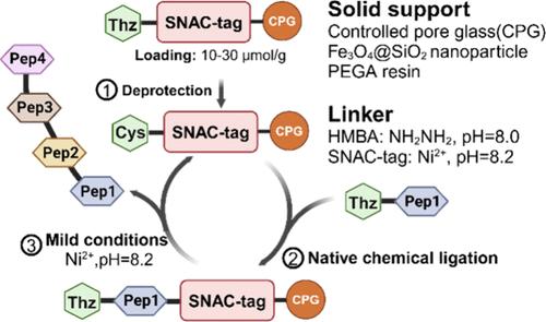 Optimizing Solid-Phase Protein Synthesis Using CPG-2000 and a Nickel-Cleavable SNAC-tag Linker