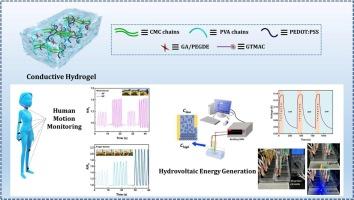 Extremely-low electrical-hysteresis hydrogels for multifunctional wearable sensors and osmotic power generators