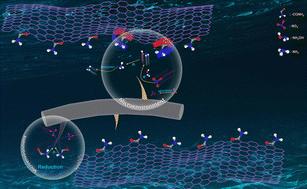 “Soft armor” regulates the electrocatalytic microenvironment for nitrate reduction to ammonia to greatly enhance stability†