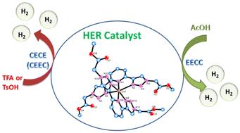 Effect of proton sources on the electrocatalytic hydrogen evolution reaction mediated by a copper complex of bistriazolylpyridine†