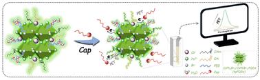 PET-based aqueous-stable two-phase perovskite nanoprobe for quantification of capsaicin in food samples†