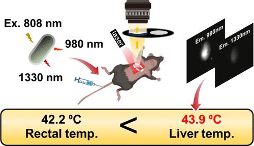 Near-Infrared Nanothermometer Reveals Temperature Discrepancy between Organs and Body Surface for Heatstroke Prevention