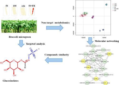 Metabolomics and Molecular Networking Approach for Exploring the Effect of Light Intensity and Quality on the Chemical Profile and Accumulation of Glucosinolates in Broccoli Microgreen