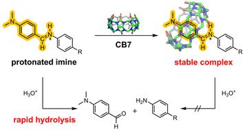 Cucurbit[7]uril encapsulation completely protects reactive imine in weak acid†