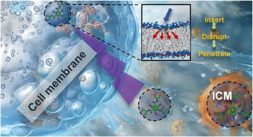 Exploring the Adsorption Process of Iodinated Contrast Medias onto Phospholipid Membranes: A Theoretical Toxicity Evaluation Study