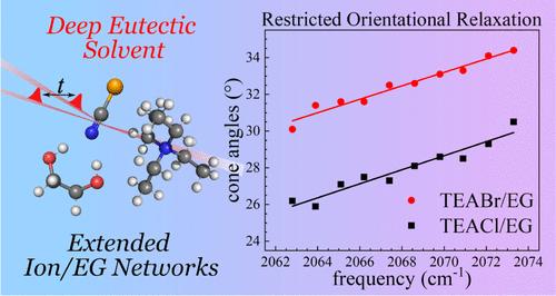 Dynamics of Deep Eutectic Mixtures of Tetraethylammonium Halides/Ethylene Glycol Investigated with Ultrafast Infrared Spectroscopy