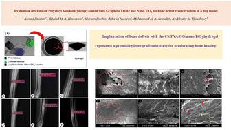 Evaluation of a chitosan/polyvinyl alcohol hydrogel loaded with graphene oxide and nano TiO2 for bone defect reconstruction in a dog model